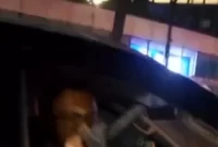 Seorang pengendara Mitsubishi Pajero warna hitam dengan nopol B 1690 QH menodongkan senjata tajam (sajam) ke arah pengendara lain di kawasan Kelapa Gading, Jakarta Utara, Minggu malam (25/12/2022). (Foto: Tangkapan layar Instagram)